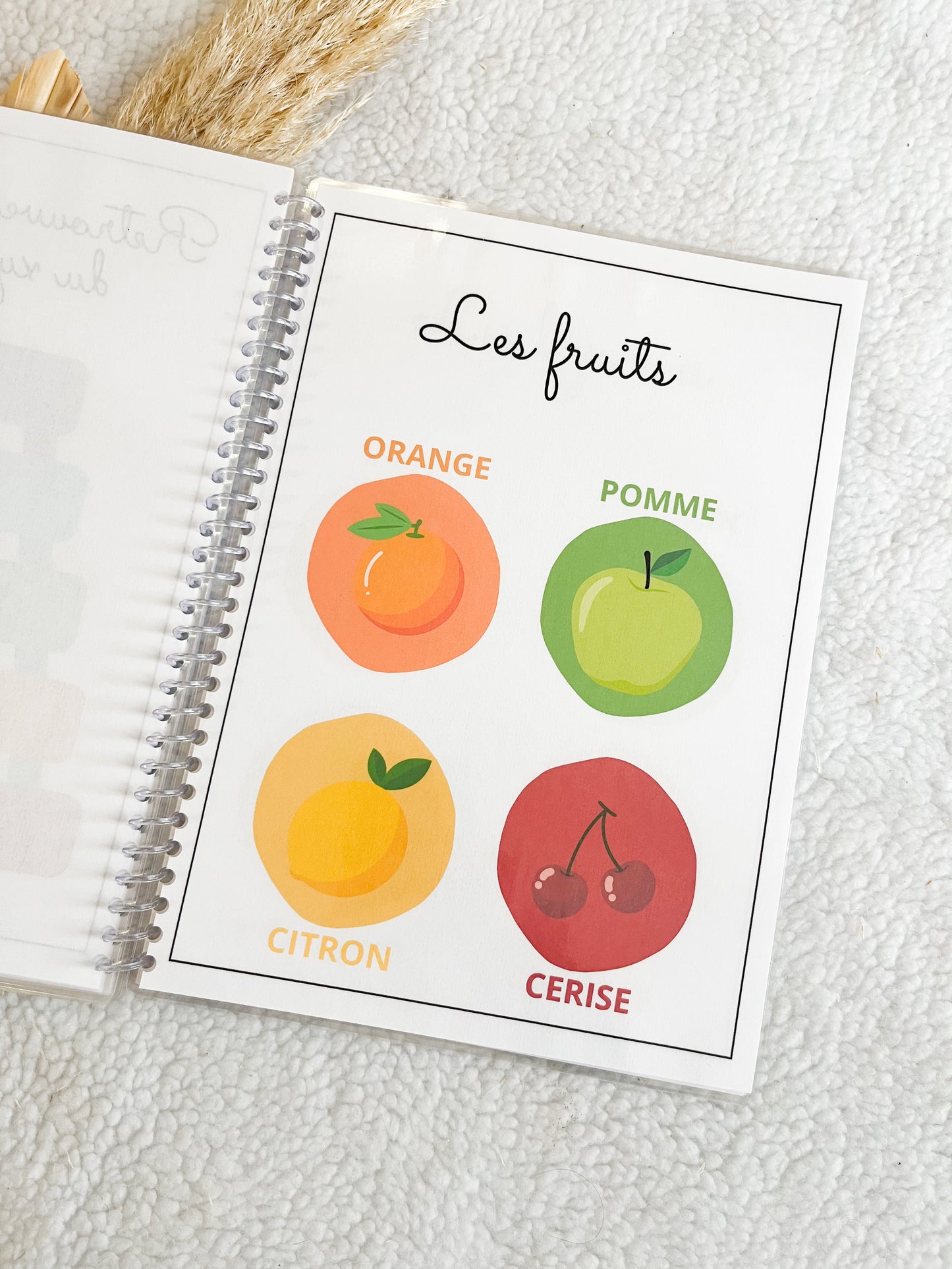 Mon premier livret |Formes & couleurs| - 12 mois